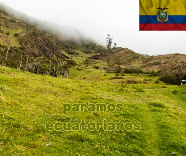 Los tipos de páramos que hay en Ecuador