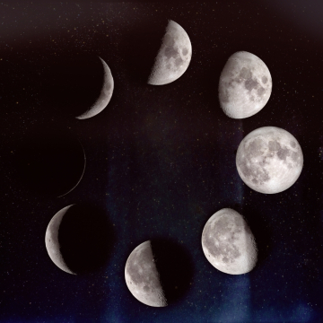 Lunar Calendar June 2025 